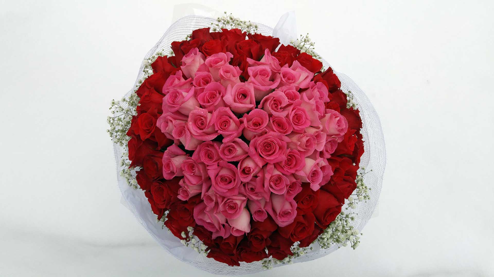 ROSELYN Classic Red Rose Bouquet(99 roses) - HALO Flowers, 香港花店